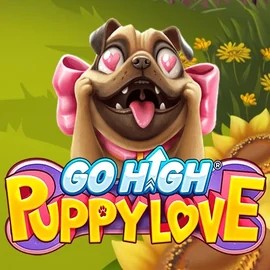 Go High Puppy Love logo – Slots by RubyPlay at Betpoint Casino